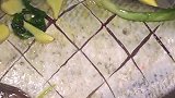 我是黄小妹：乡间女厨做干烧鱼，香菇加新鲜的冬笋，轻松让你学会