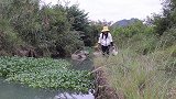 小燕钓鱼简单粗暴，直接飞竿，这力道也太猛了吧！