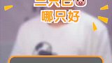 养巴哥吗，什么时候都不晚