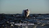 海洋恐怖“死亡冰柱”，从海面直入海底，所到之处万物皆亡！