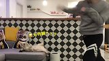 和猫咪一天的日常
