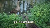 孙莉一家四口出游，11岁多妹身形高挑像妈妈，黄磊牵手儿女蹦蹦跳跳