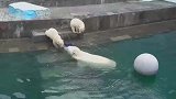 熊妈妈教小熊游泳
