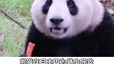 你知道这款洗面奶吗