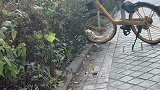 小哥哥遇到一只猫咪，本来名字都想好了，网友：有爱但只有一点