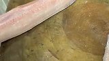 酸菜鱼，慢动作教程呀！
