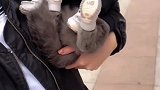 出门迷倒一大片小母猫那种