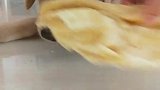 大饼子，见到真高兴啊