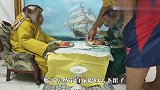 猴子带媳妇上餐厅吃饭，场面太好玩了，网友：悟空是你吗？