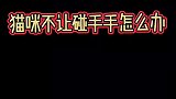 猫咪不让你碰手怎么办