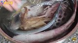 “盐水杂鱼煲”正确吃法，这样做才算会吃海鲜，原汁原味鲜嫩十足