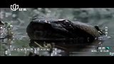 眼界20140415