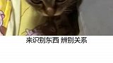 喵星人 你下班后，猫为什么会突然不认识你了？