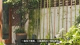一条-20180703-有钱又有品位！上海主妇在老巷子里造豪宅，还有80㎡秘密花园