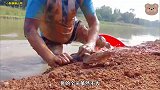 河边惊现大批量大鱼，大叔反应过来立马上手，最后竟收获满满？