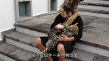 豹子在水池边玩水，不料遭到饲养员“暗算”，看完请憋住别笑！