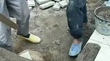 我到底该听谁的呢