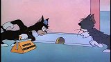 猫和老鼠：汤姆智商不一般啊，和野猫合伙，被小老鼠给收拾了！