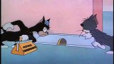 猫和老鼠：汤姆智商不一般啊，和野猫合伙，被小老鼠给收拾了！