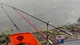 看给这大哥吓得，现在鱼儿不吃饵料了吗，改成吃鱼杆啦！