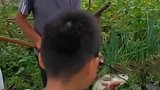 一顿操作猛如虎，鱼胆扎破肉发苦，这样的鱼一定不好吃