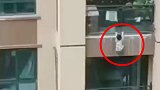 重庆一男童悬挂6楼阳台外坠下 众人拉棉被接住