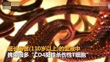 【日本】日本研究：超长寿者血液携带特殊T细胞