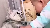 猫咪也学会了控制脾气，举起手是尊严，放下是生活