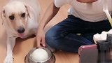 赛文看见电影里吃牛排，再看碗里的馒头，赛文向主人抱怨不公平