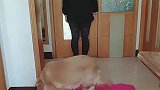 主人表演信任背摔，金毛反应好贴心，最忠诚伙伴
