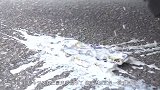 汽车压200根香烟，看土豪怎么做，看完太心疼了！