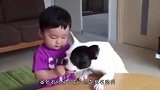 小奶狗第一次见到家里的小宝宝，这场面，我快笑岔气了