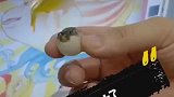 不好意思你家亲戚呀