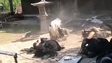 撞门那都是替身，等拍到正脸就是演员上