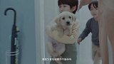自然友趣，一起成长