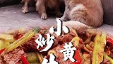 乡村邻里之间的关系总是让人羡慕