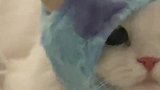 带妹妹去兜风了啊