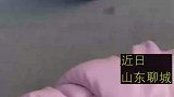 新郎新娘同名同姓羡煞旁人，洋洋娶洋洋