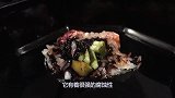 硫酸有多可怕？老外作死将水蛭扔进去，下一秒悲剧了