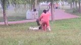 遛狗不拴绳悲剧了, 被狗咬住不松口, 任女子怎么驱赶都没用