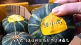 这个蒜香南瓜的做法真的太好吃了，沙沙糯糯的，焦甜中还带着咸味
