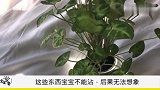 这些家里常见的东西应该远离孩子，妈妈们长点心吧