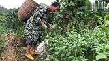 侄儿今天过生日，把家里最后一块腊肉炒了，简单饭菜心意到