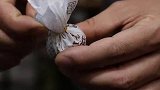寻一份寂静和闲情，享受一杯普洱茶