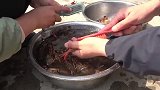 又到吃龙虾的季节，泰能买5斤，满壳是黄，裹上蒜蓉，味道真哇塞