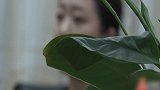 一小时赚一千还能提现！女子被男友带进“杀猪盘”被骗40多万