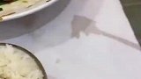 狗那玩意太不仗义了