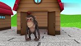 益智启蒙英语动画 小猩猩让动物们依次排队上卡车