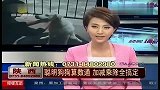 陕西：聪明狗狗算数通 加减乘除全搞定-6月2日