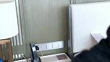 来来来，各自领名字了，然后再给我起个名字。谢谢。